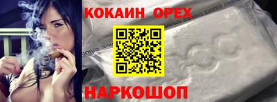 крисы Камышлов