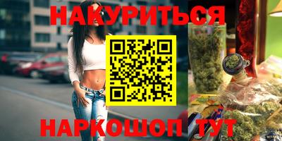 крисы Камышлов