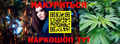 крисы Камышлов