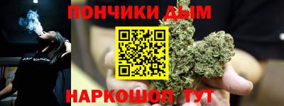 крисы Камышлов